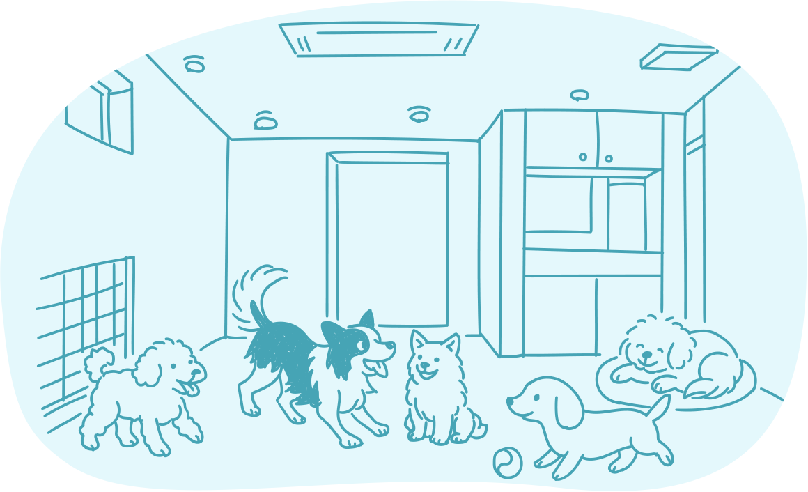 ケージレスでストレスフリーな環境